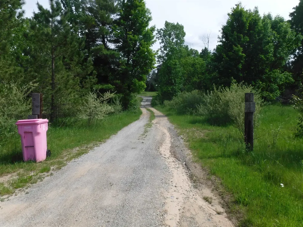 4781 Alvin Road Curtis Township, MI 48737