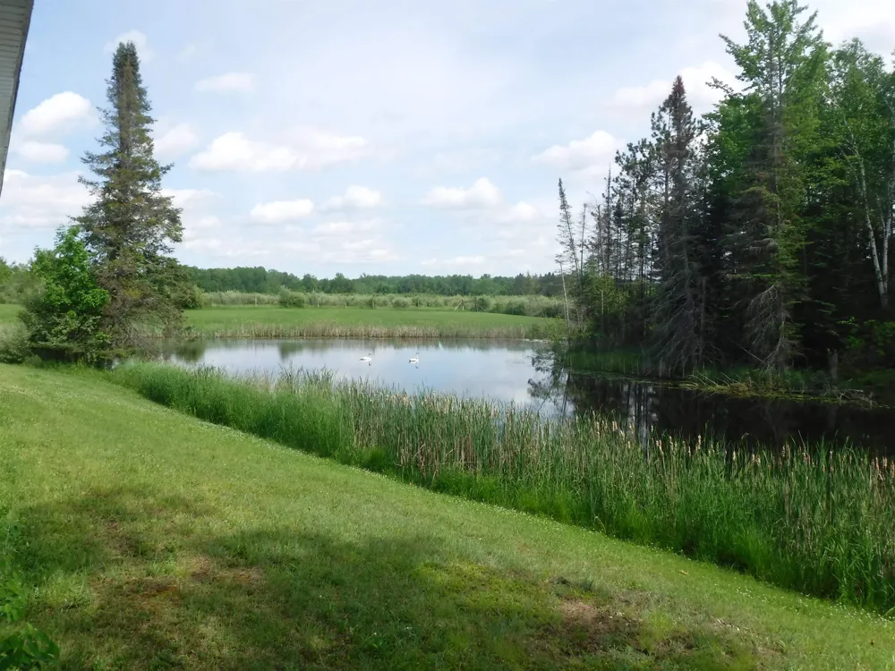 4781 Alvin Road Curtis Township, MI 48737