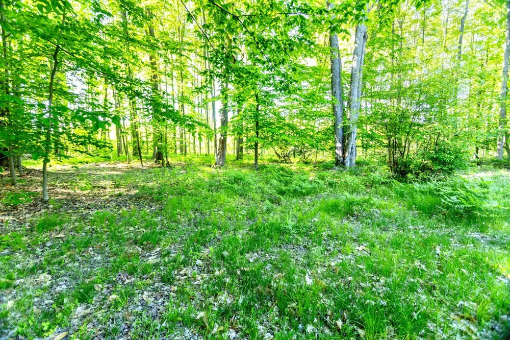 14351 95th Avenue Martiny Township, MI 49342