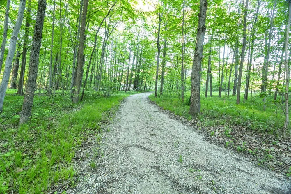 14351 95th Avenue Martiny Township, MI 49342