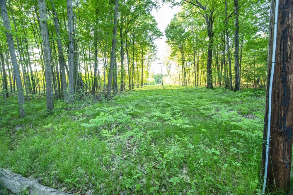 14351 95th Avenue Martiny Township, MI 49342