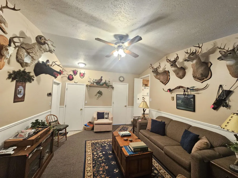 3351 S Dickerson Road Lake Township, MI 49651