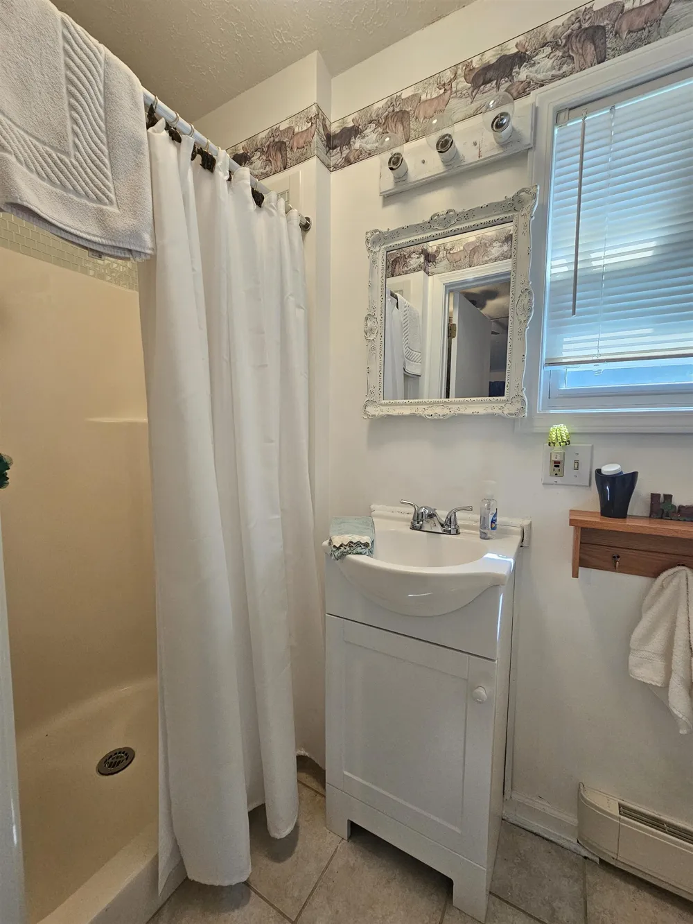 3351 S Dickerson Road Lake Township, MI 49651