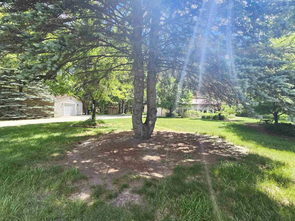 3351 S Dickerson Road Lake Township, MI 49651
