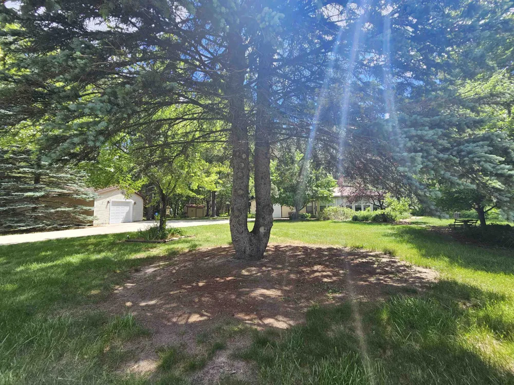 3351 S Dickerson Road Lake Township, MI 49651