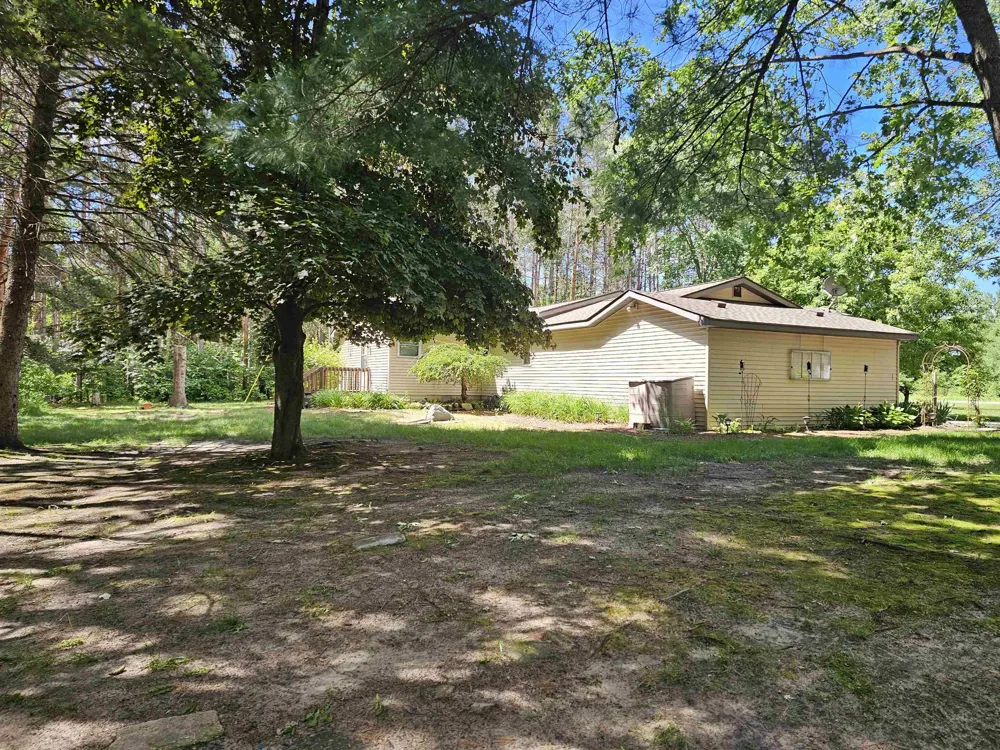 3351 S Dickerson Road Lake Township, MI 49651