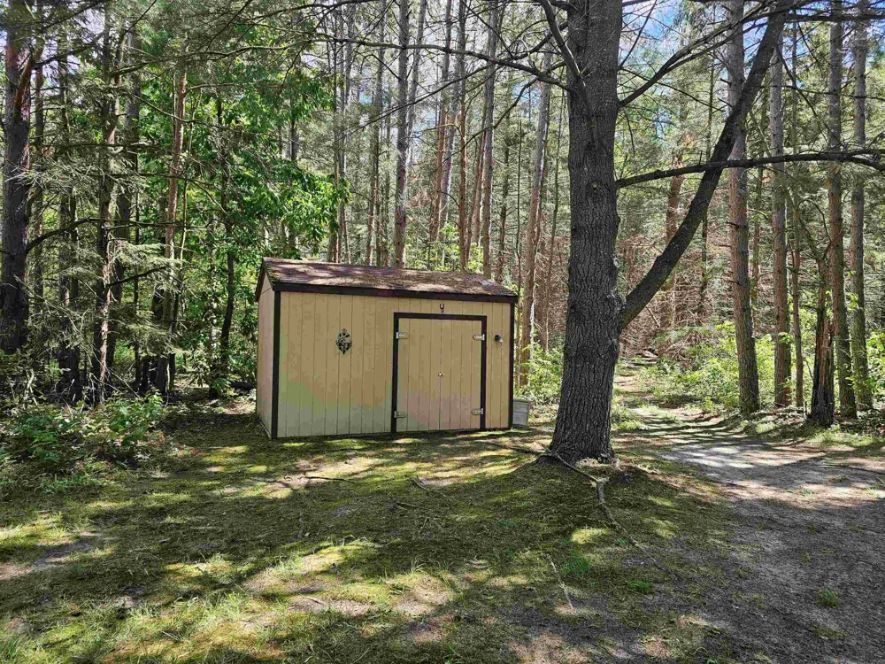 3351 S Dickerson Road Lake Township, MI 49651