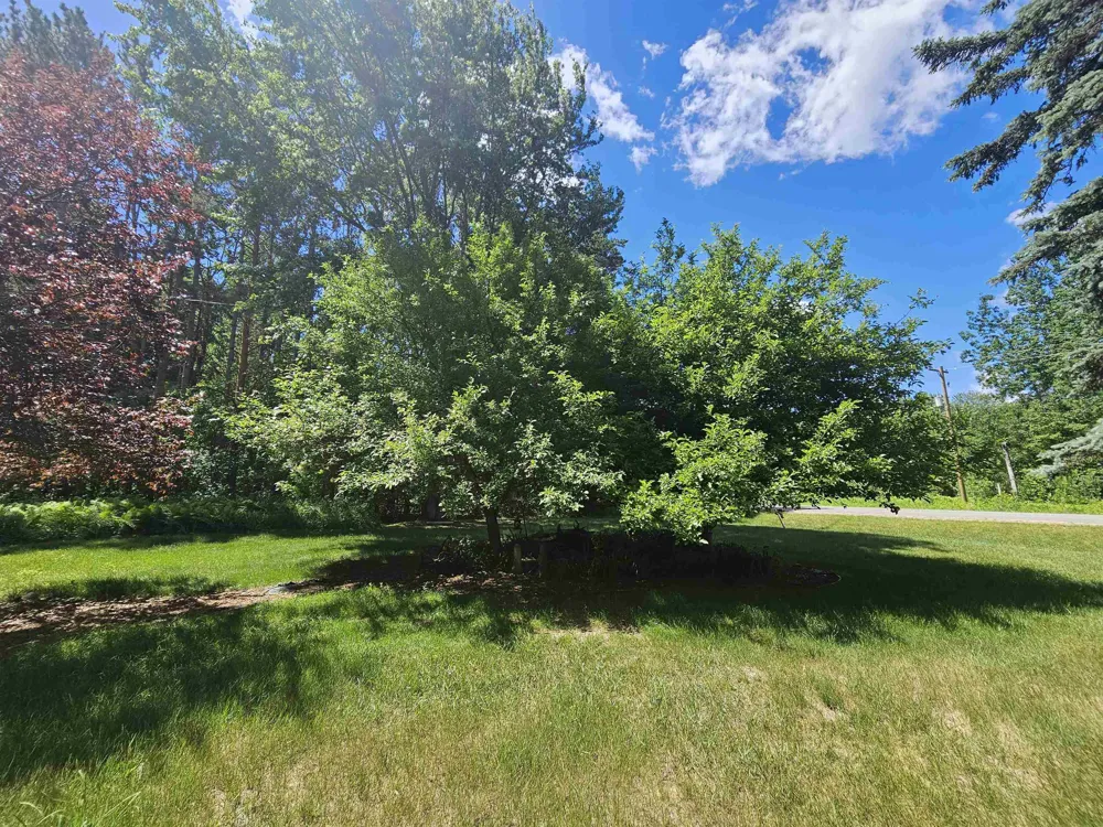 3351 S Dickerson Road Lake Township, MI 49651