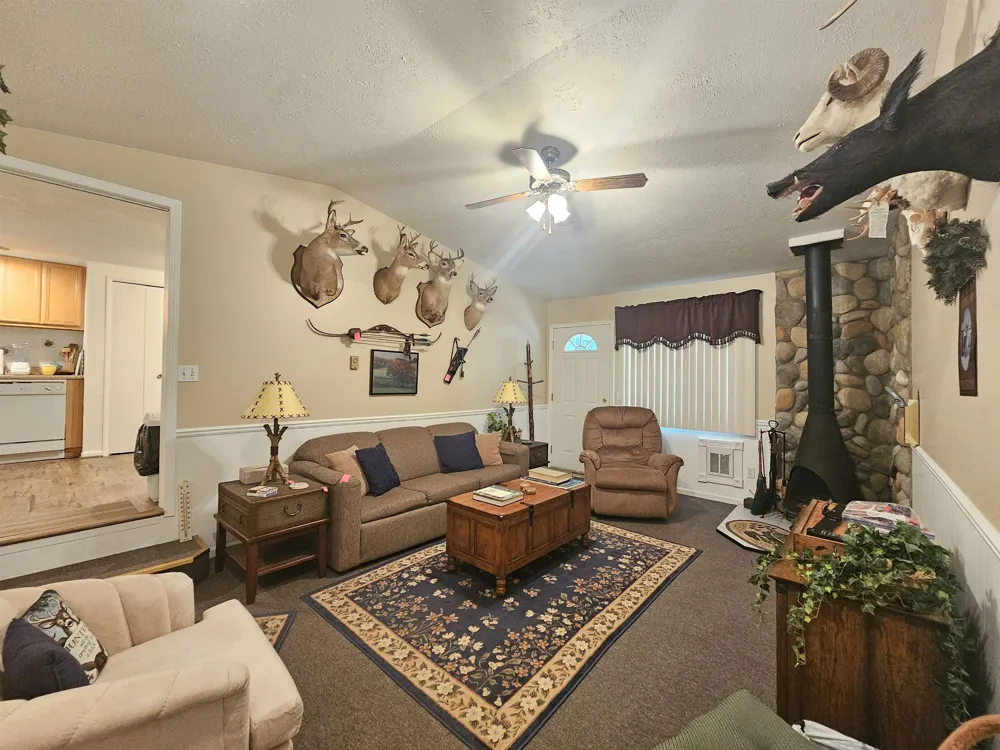 3351 S Dickerson Road Lake Township, MI 49651