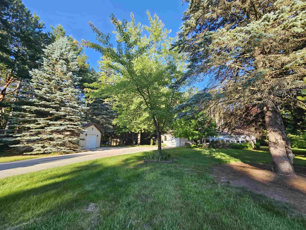 3351 S Dickerson Road Lake Township, MI 49651