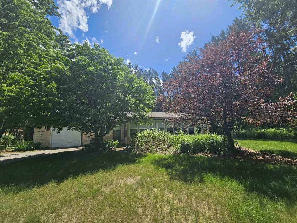 3351 S Dickerson Road Lake Township, MI 49651