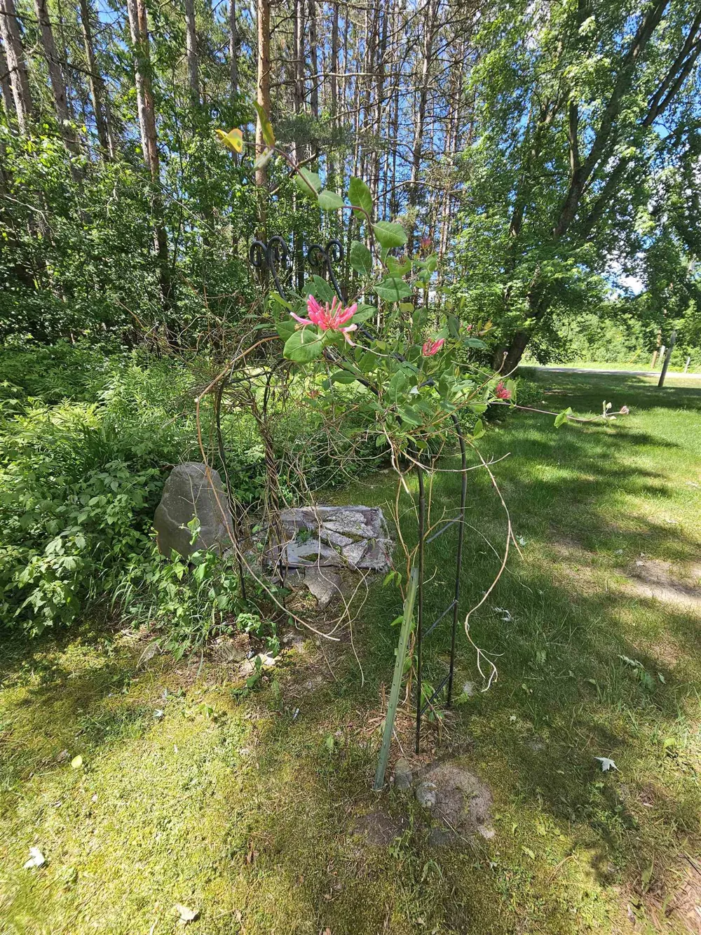 3351 S Dickerson Road Lake Township, MI 49651