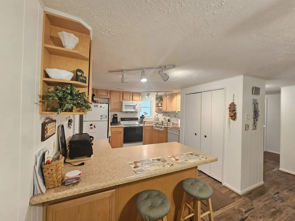 3351 S Dickerson Road Lake Township, MI 49651