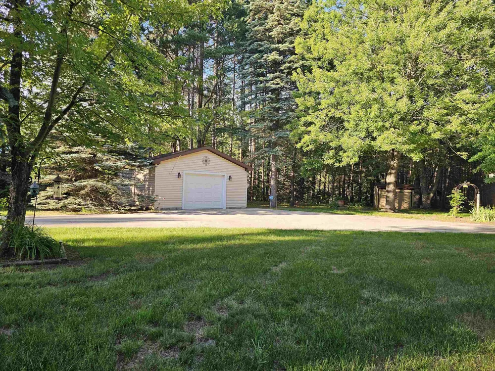 3351 S Dickerson Road Lake Township, MI 49651