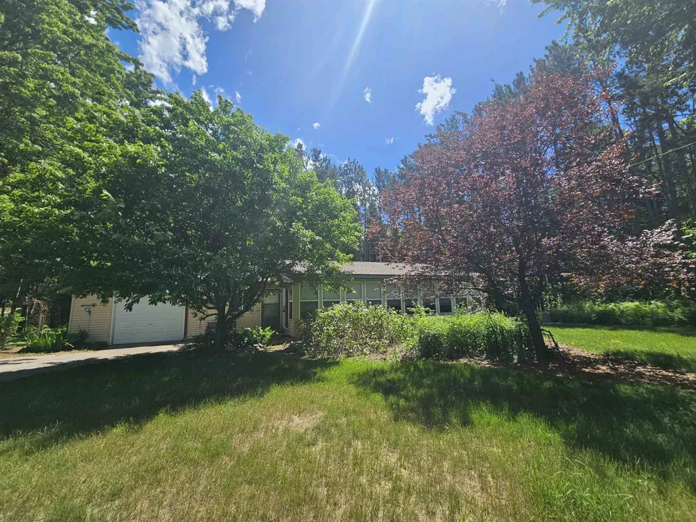 3351 S Dickerson Road Lake Township, MI 49651