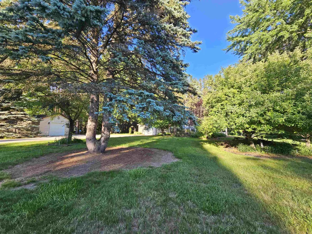 3351 S Dickerson Road Lake Township, MI 49651