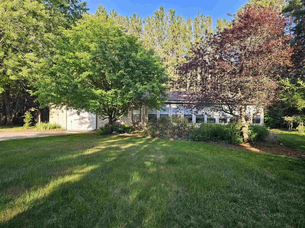 3351 S Dickerson Road Lake Township, MI 49651