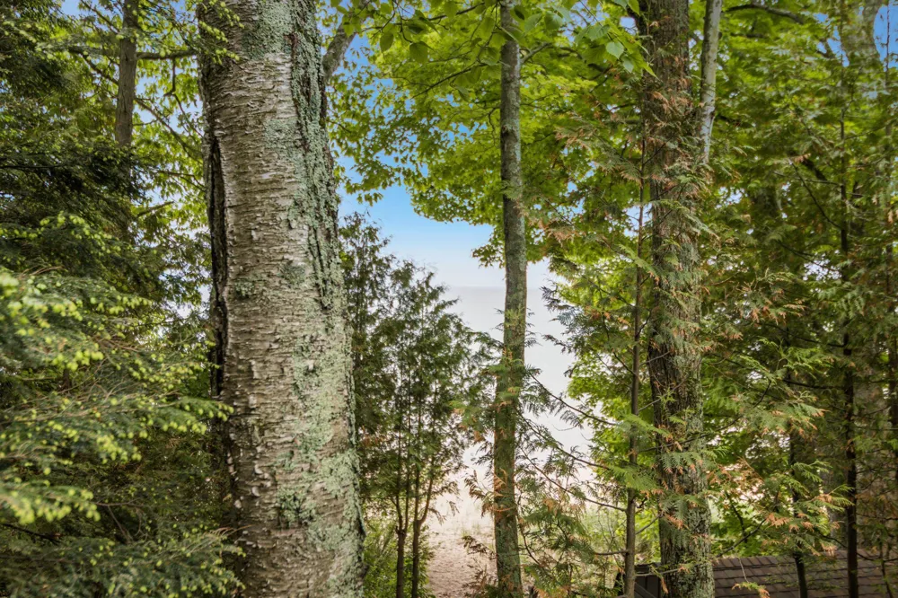 2856 Birchview Drive Torch Lake Township, MI 49648