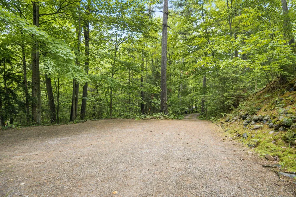 2856 Birchview Drive Torch Lake Township, MI 49648