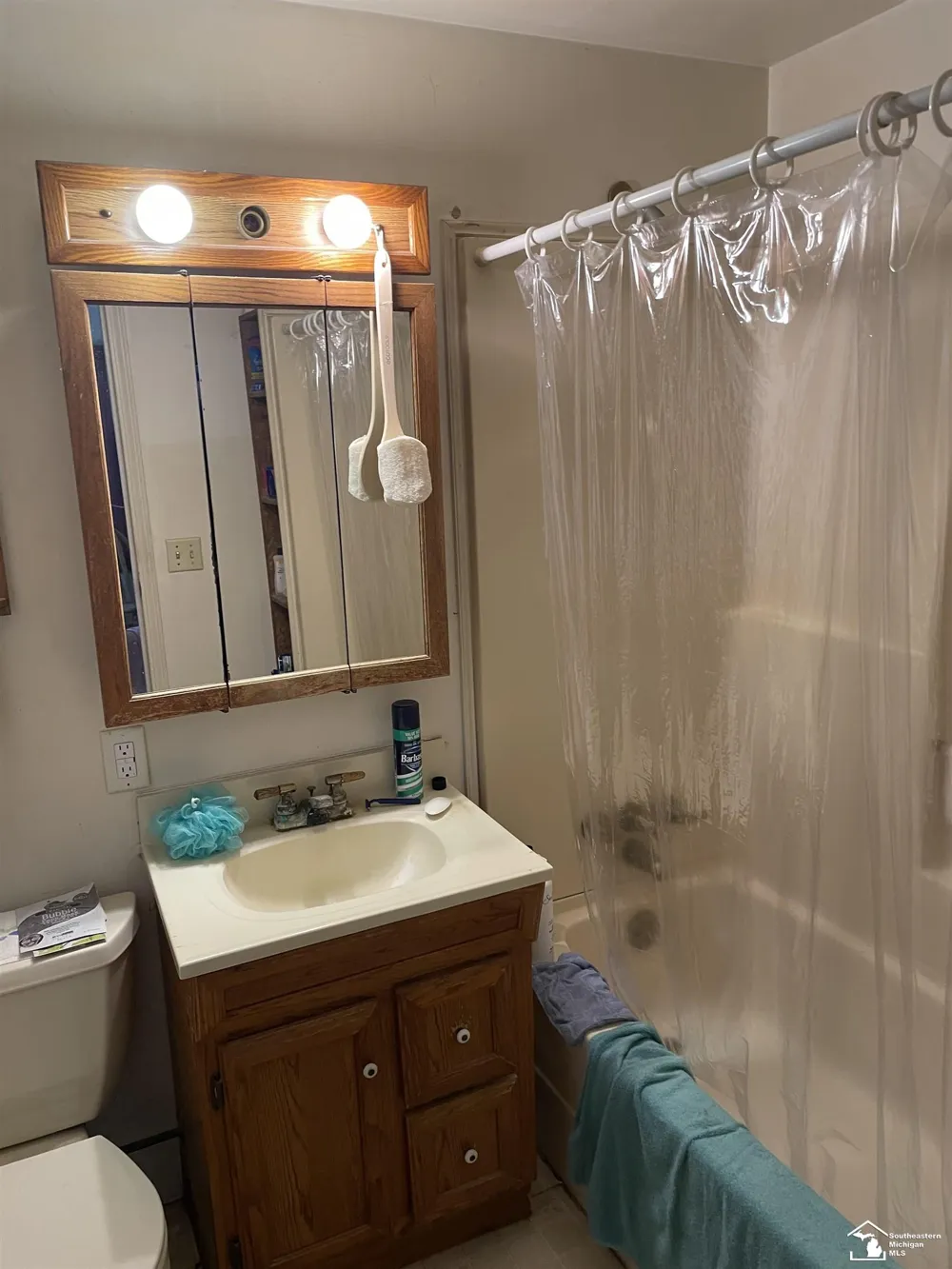 809 Pipis Drive Frenchtown Township, MI 48162