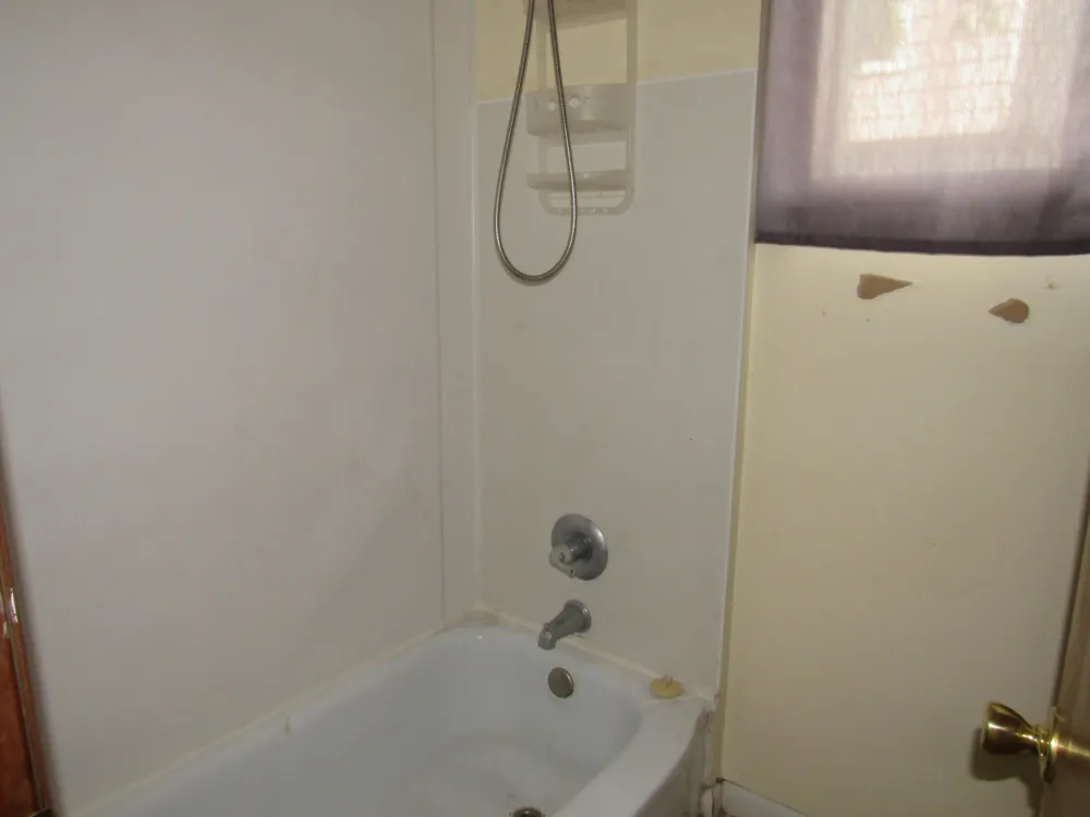 161 Palmer Avenue Colon Village, MI 49040
