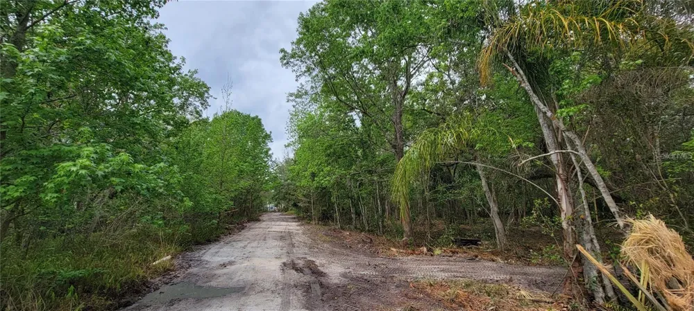 0 N POINCIANA BOULEVARD Kissimmee, FL 34746