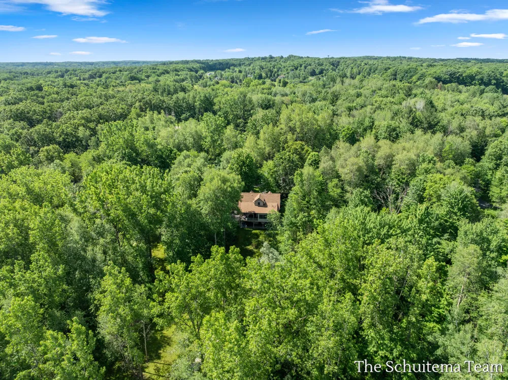10155 Rogue Pond Drive NE Algoma Township, MI 49341