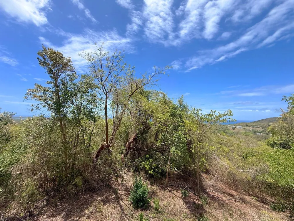 89 CALLE CASA HIX Vieques, PR 00765