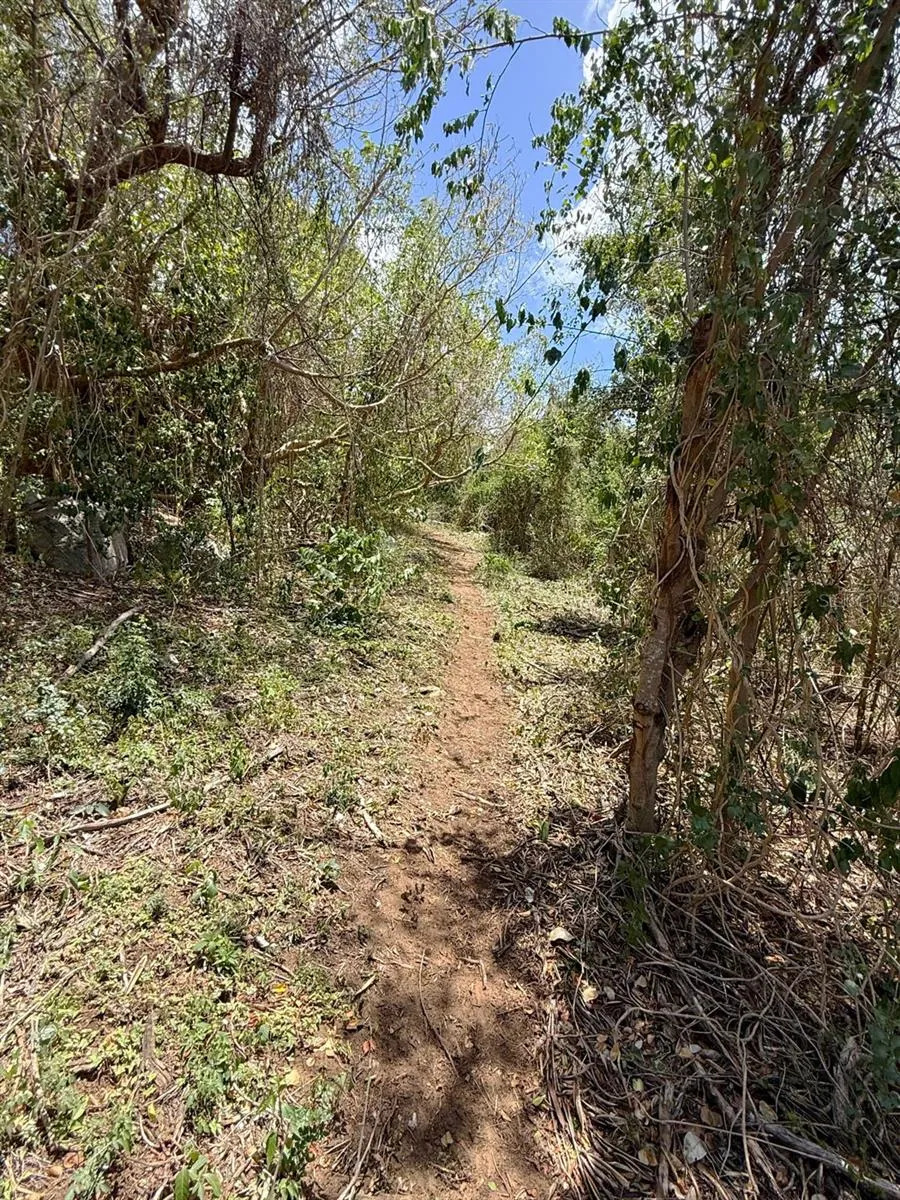 89 CALLE CASA HIX Vieques, PR 00765