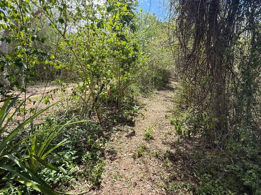 89 CALLE CASA HIX Vieques, PR 00765