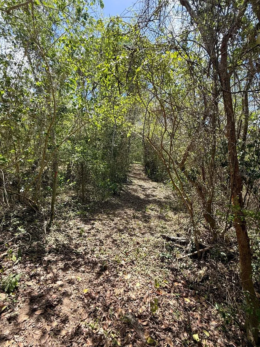 89 CALLE CASA HIX Vieques, PR 00765