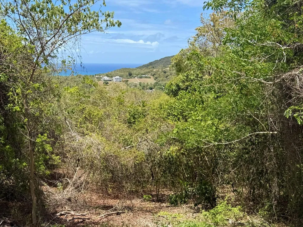 89 CALLE CASA HIX Vieques, PR 00765