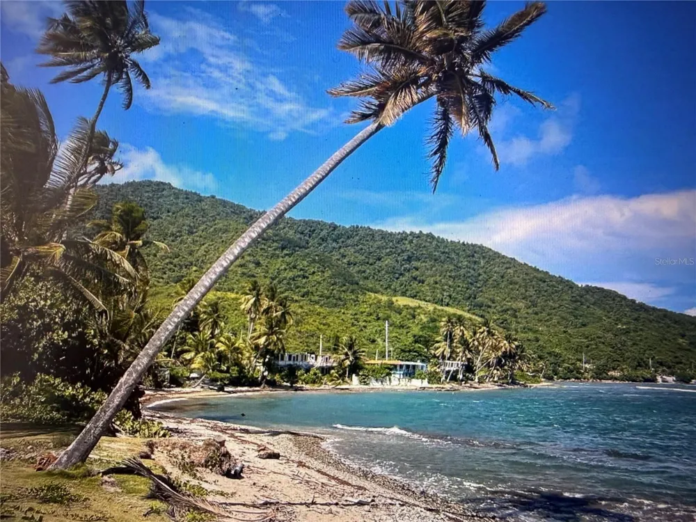 20 HWY 7758 Patillas, PR 00723
