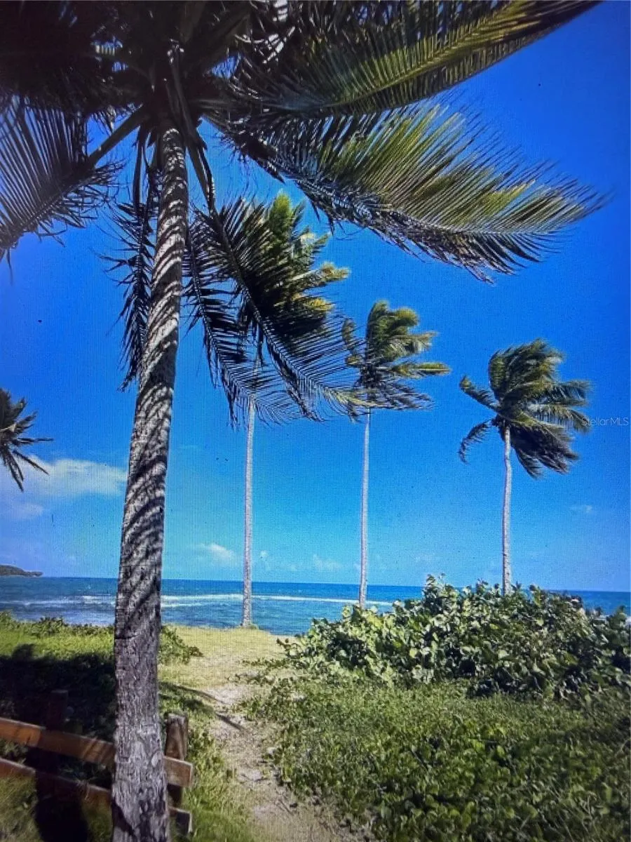 20 HWY 7758 Patillas, PR 00723