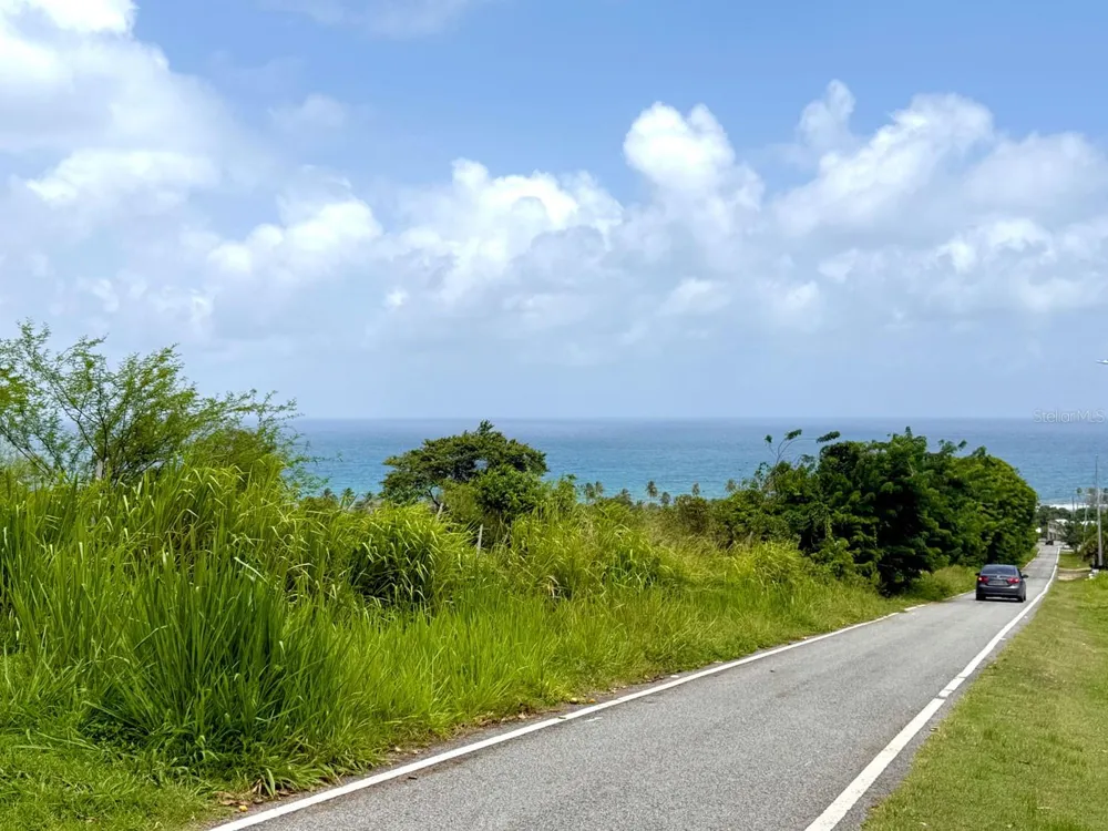 20 HWY 7758 Patillas, PR 00723