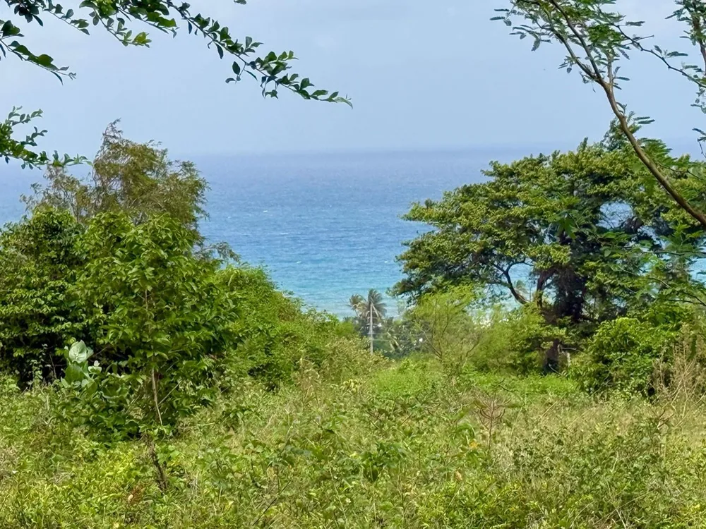 20 HWY 7758 Patillas, PR 00723