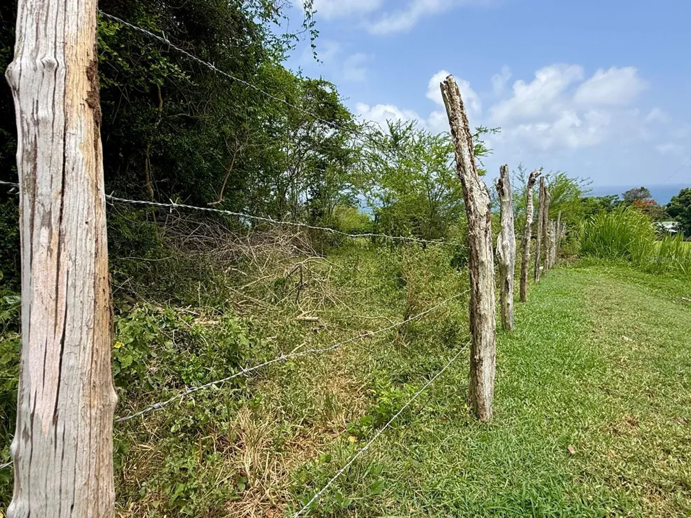20 HWY 7758 Patillas, PR 00723