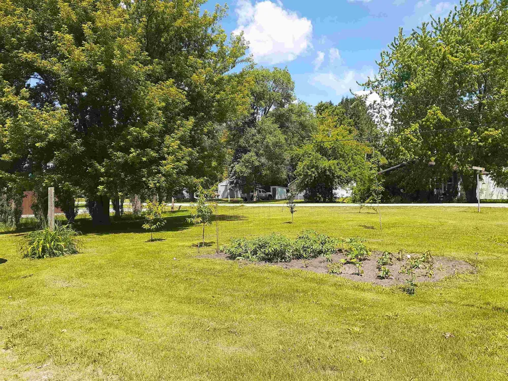 217 Clyde Street Arenac Township, MI 48749