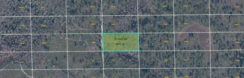 DILL ROAD
