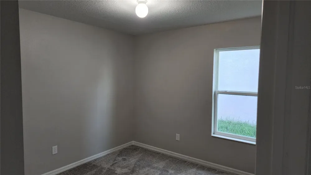 9938 MESIC WOODS AVENUE Seffner, FL 33584