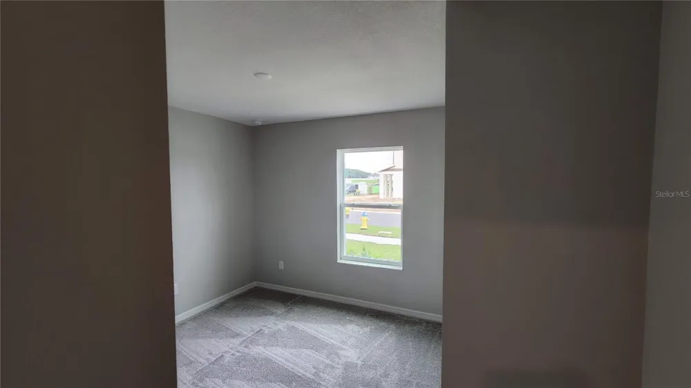 9938 MESIC WOODS AVENUE Seffner, FL 33584