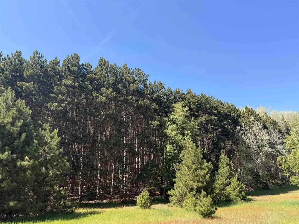 S Lime Lake Road Cleveland Township, MI 49621