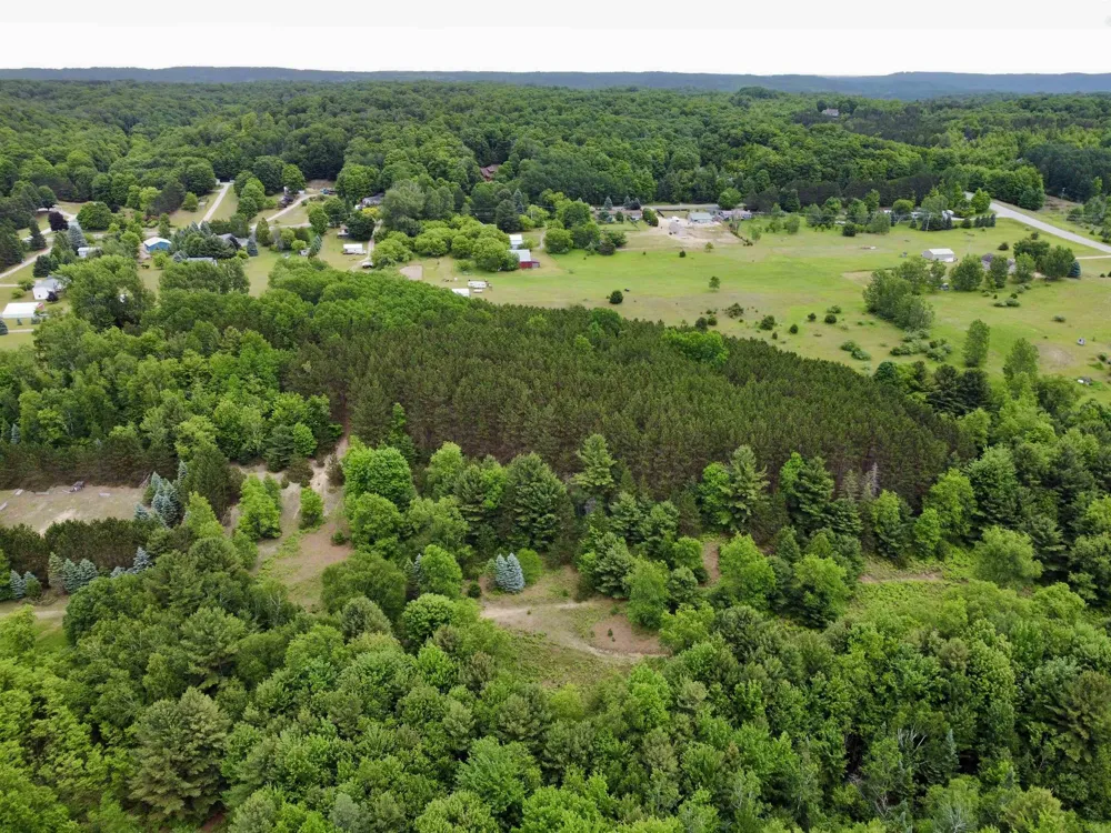 S Lime Lake Road Cleveland Township, MI 49621