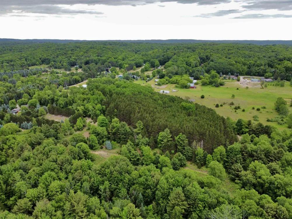S Lime Lake Road Cleveland Township, MI 49621