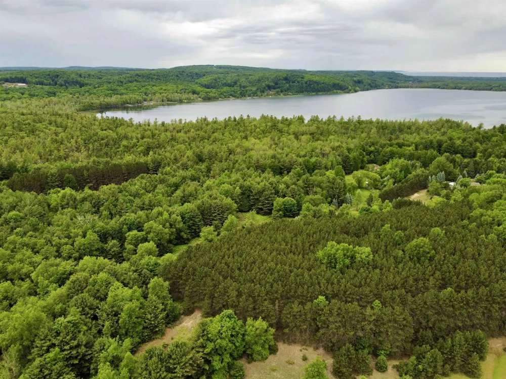 S Lime Lake Road Cleveland Township, MI 49621