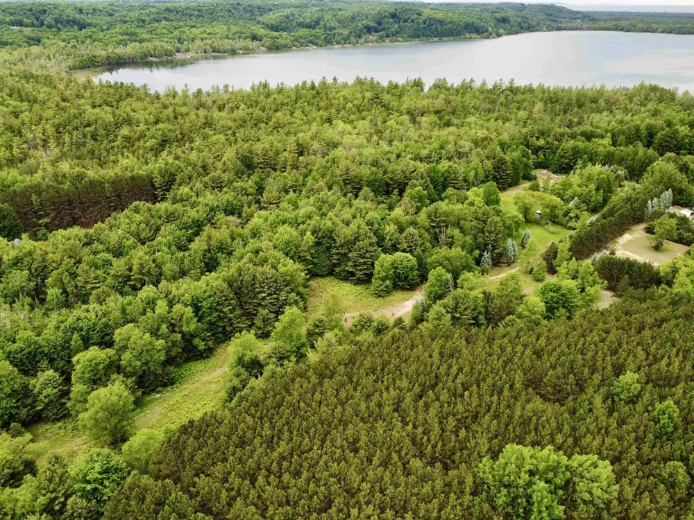S Lime Lake Road Cleveland Township, MI 49621