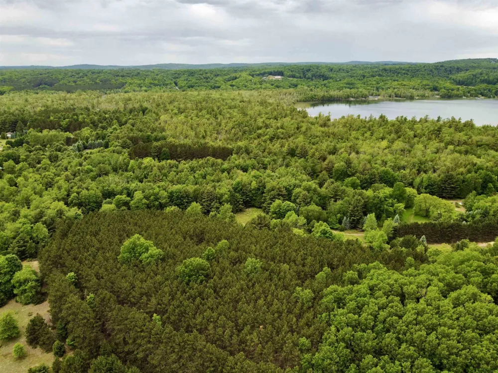 S Lime Lake Road Cleveland Township, MI 49621