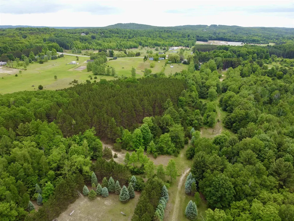 S Lime Lake Road Cleveland Township, MI 49621