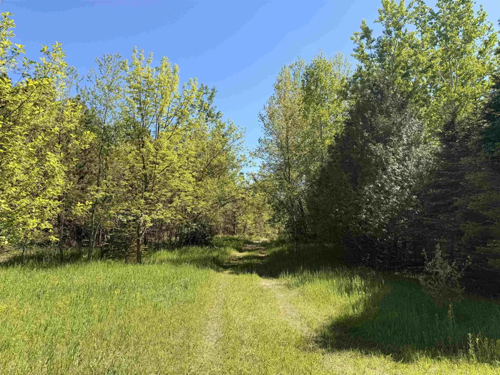 S Lime Lake Road Cleveland Township, MI 49621