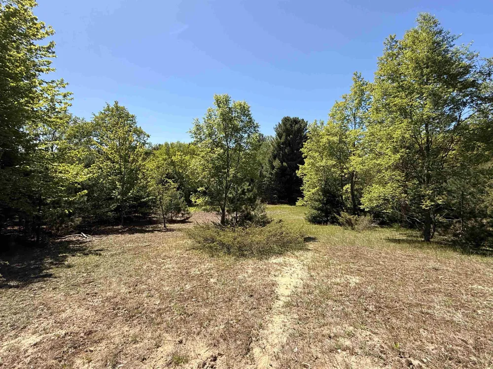 S Lime Lake Road Cleveland Township, MI 49621